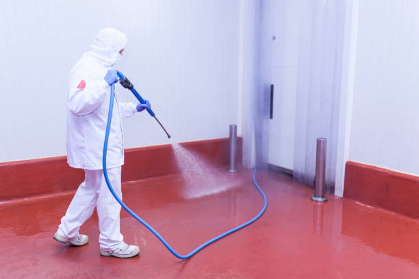 Best Window and Screen Pressure Cleaning in Randolph, WI