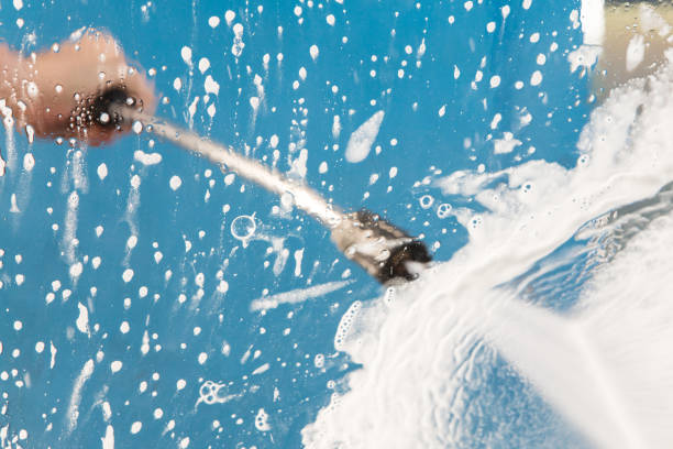 Best Fence Cleaning and Maintenance in Randolph, WI