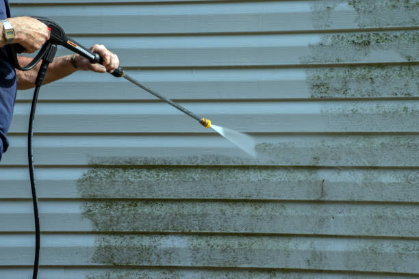 Best Gutter Cleaning and Brightening in Randolph, WI