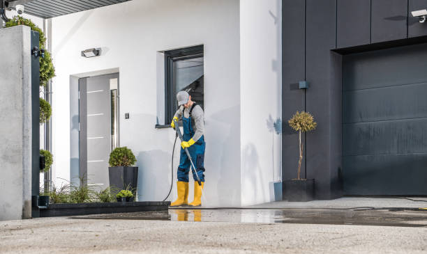 Best Soft Washing for Delicate Surfaces in Randolph, WI